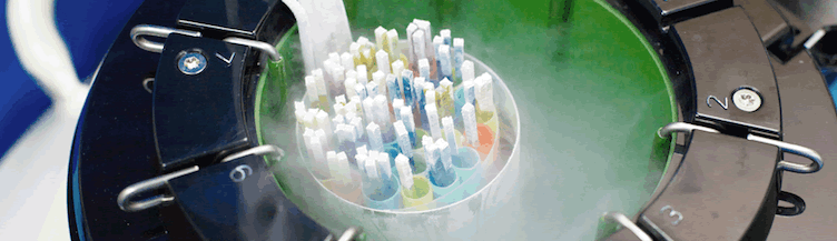 embrioni congelati presso alpha fertility centre 